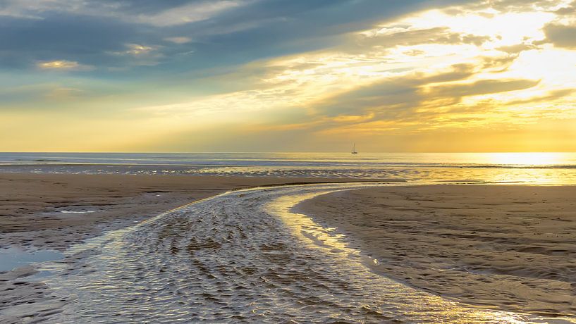 Back to sea by Rik Verslype