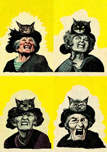 Angry Cat Ladys