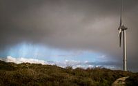 regen