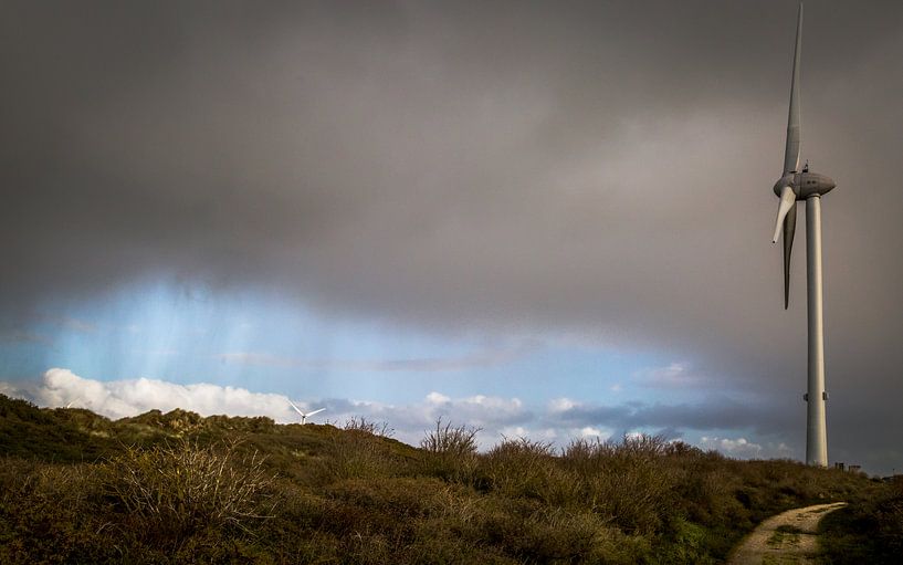 regen van wim harwig