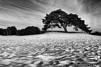 Sandlandschaft in schwarz und weiß