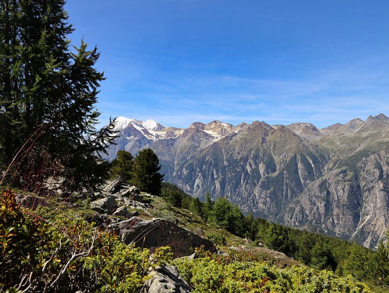 Alpine view by Marieke Funke