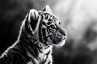 Black and white tiger cub artwork by Imperial Art House thumbnail