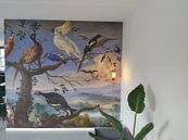 Kundenfoto: Exotische Vögel Brafa, Jan van Kessel