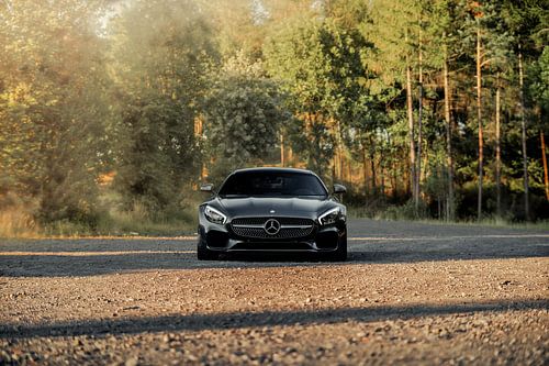 Mercedes starrt auf den Boden