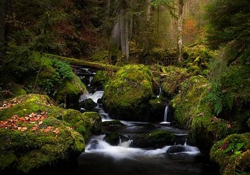 Prachtige watervalletjes in de Ravennaschlucht in het Zwarte woud, Duitsland van Jos Pannekoek