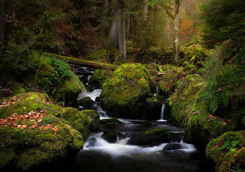 Belles chutes d'eau dans la Ravennaschlucht en Forêt Noire, Allemagne. par Jos Pannekoek