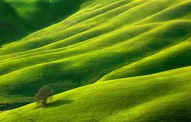 One... by Krzysztof Browko