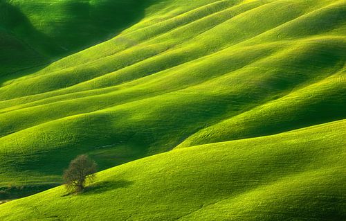 Un... sur Krzysztof Browko