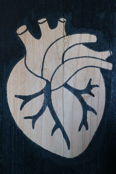 Heart (3/3) by hou2use