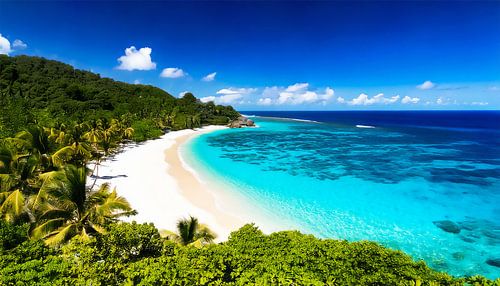 Strand met palmbomen en zee