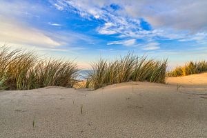 strand duin en de Noordzee in het zonlicht van eric van der eijk