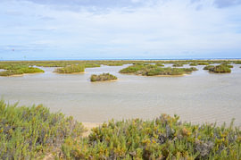 Paysage de la lagune de Playa de Sotavento avec des kitesurfeurs au bord de la mer sur Tomherkules