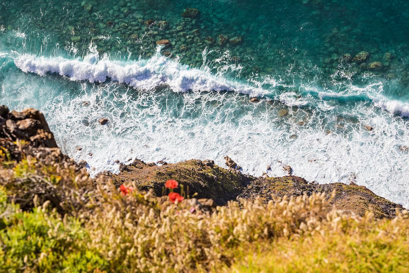 Steep coast and sea in Madeira by Werner Dieterich