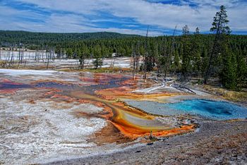 YELLOWSTONE NATIONAL PARK -  USA