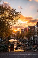 Leiden - Herbst mit einem goldenen Sonnenuntergang über dem Alten Rhein.