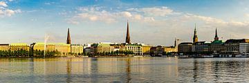 Panorama skyline Hamburg aan de rand van het Alstermeer van Dieter Walther