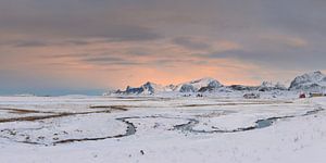 Arctisch winterlicht - Mooie Lofoten van Rolf Schnepp