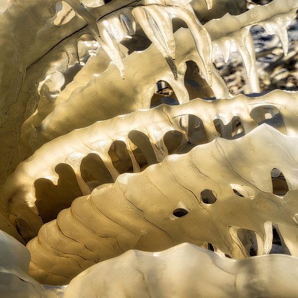 Sculpture de glace par Peter Bolman