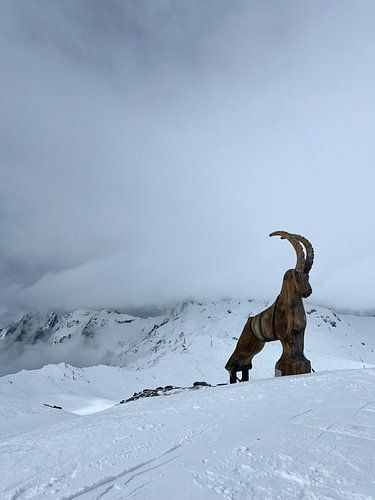 Holz-Steinbock in den Wolken – Magischer Bergblick in den französischen Alpen