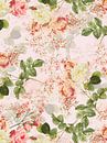 Antieke Redouté Rozen van Floral Abstractions thumbnail
