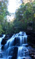 Sylvia Falls
