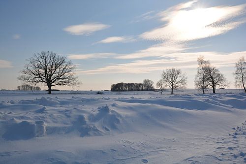 Percées de neige près de Neukamp, Putbus, île de Rügen
