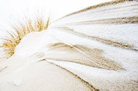 Gevormd door sneeuw en zand van Danny Slijfer Natuurfotografie thumbnail