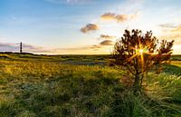Sonnenuntergang