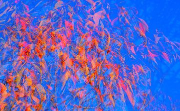 Rode herfstbladeren abstract