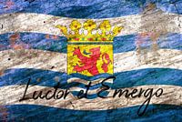 Luctor et Emergo