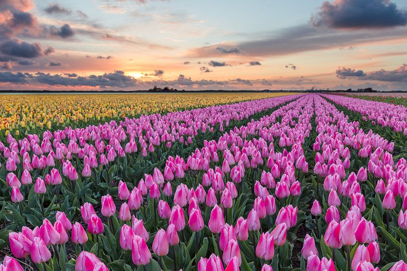 voorjaars landschap met zonsondergang van eric van der eijk
