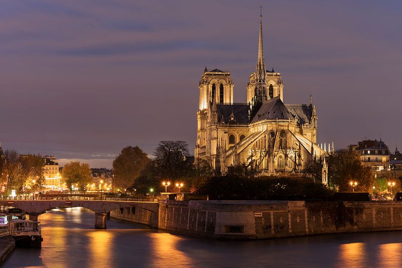 Notre Dame von Ab Wubben