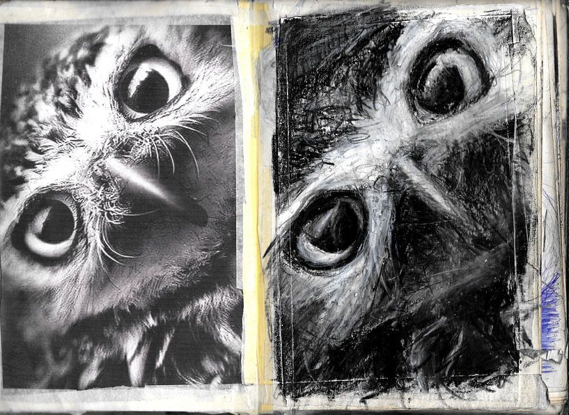 11 by Vincent Jacobs