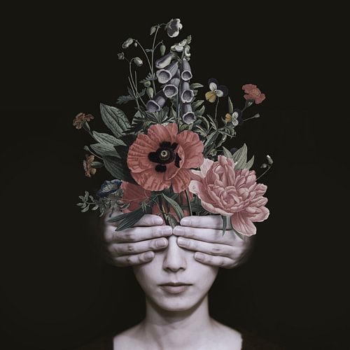 Streng vertraulich von toon joosen