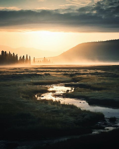 Herfst in Lapland van fernlichtsicht