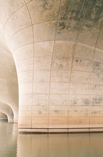 Cocktail Bacardi avec menthe et citron vert comme garniture sur Stefan van der Wijst