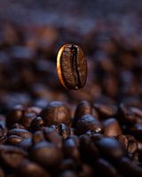 Unieke Koffieboon