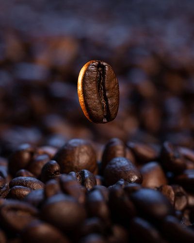 Unique Coffee Bean