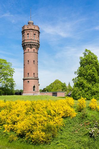 Overijssel brick water tower with blooming yellow flowers of gorse cytisus scoparius