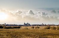 Bossche Broek by Jacq Christiaan thumbnail
