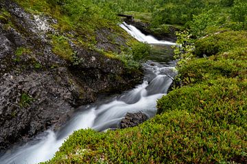 Waterval, Myrdal Noorwegen van Romy de Waal