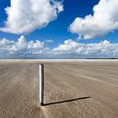 Eenzame paal op het strand van de Hors op Texel van Hans Kwaspen thumbnail