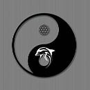 Yin-Yang-Symbol von Marion Tenbergen Miniaturansicht