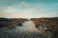 De weg door de duinen van Steffen Peters thumbnail