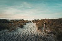 De weg door de duinen