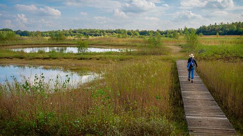 Wandelen in de Heemtuin Muntendam