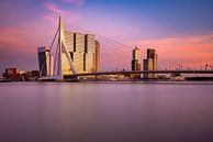 Erasmusbrug en De Rotterdam van Ronne Vinkx thumbnail