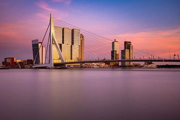 Erasmus Bridge and De Rotterdam by Ronne Vinkx