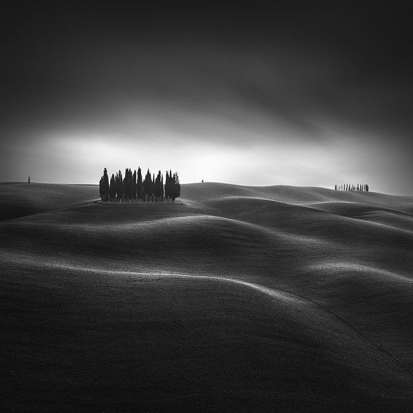 De iconische cipressen van de Val d&#039;Orcia. Toscane, studie II van Stefano Orazzini